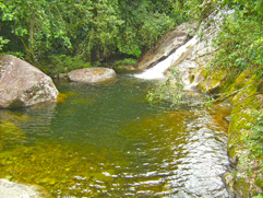 Turismo - Poo do Marimbondo - Pousada das Araucrias - Visconde de Mau - RJ